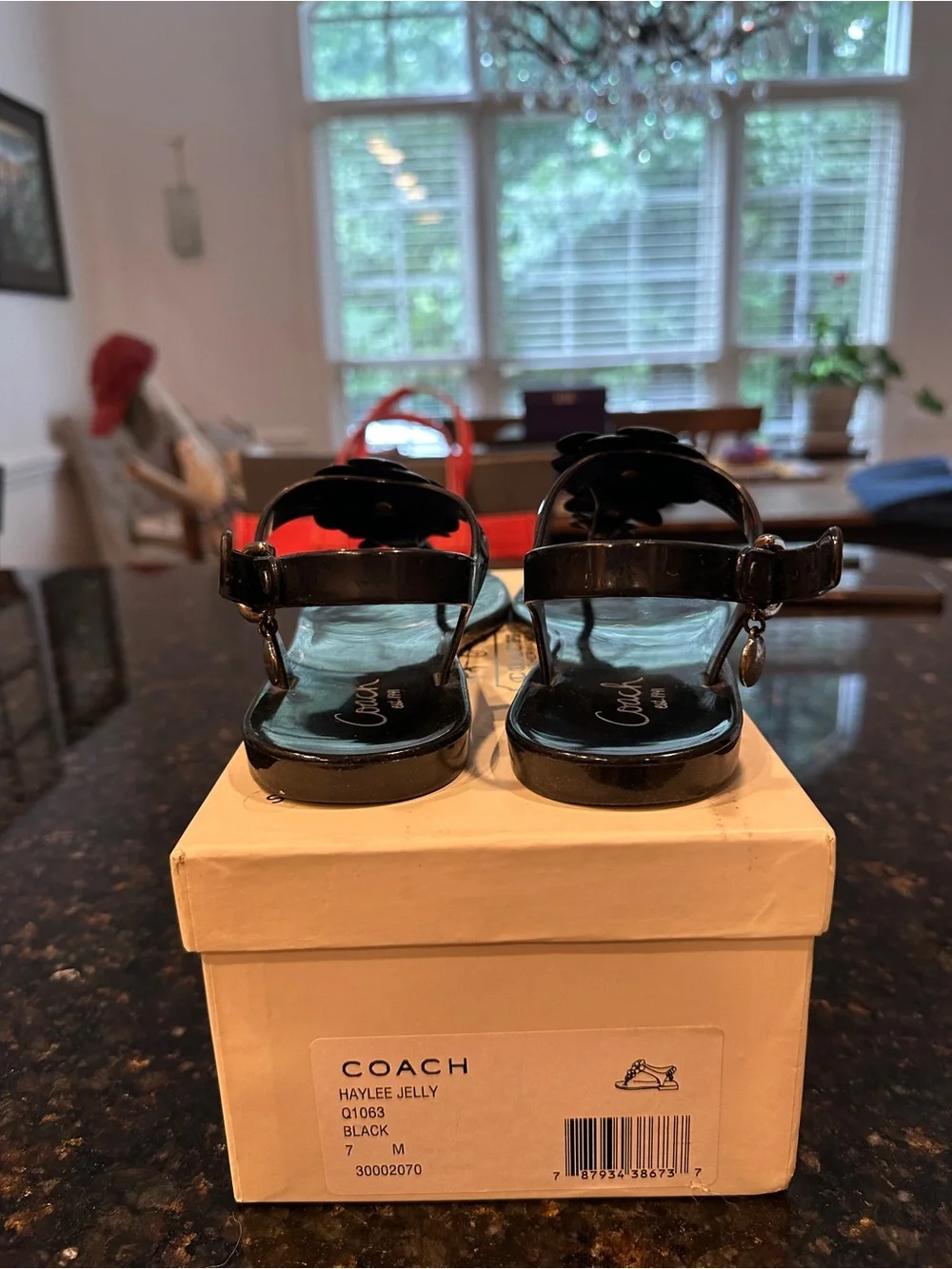 Coach Haylee Jelly Black Sandals